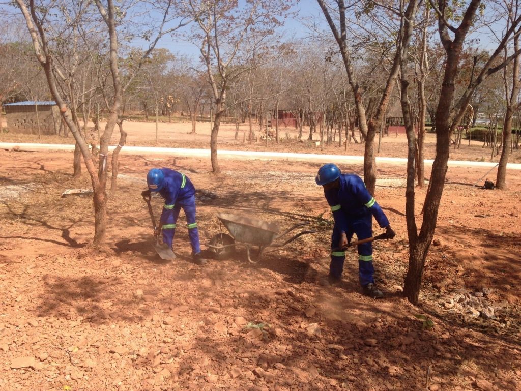 Deborah’s Blog: Breaking Ground (literally) – August 2017